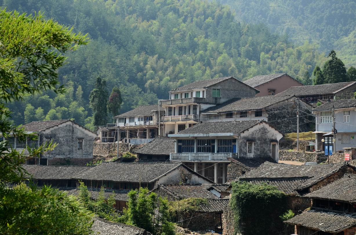  p>瑞安黄林古村(又名黄林),距温州70公里,为清代古村落.