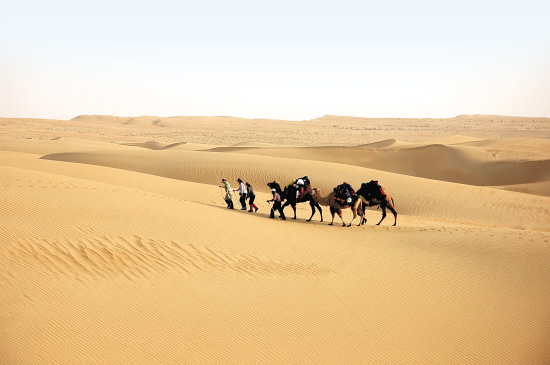  p>卡拉哈里沙漠(kalahari desert),属非洲南部内陆干燥区,也称作"