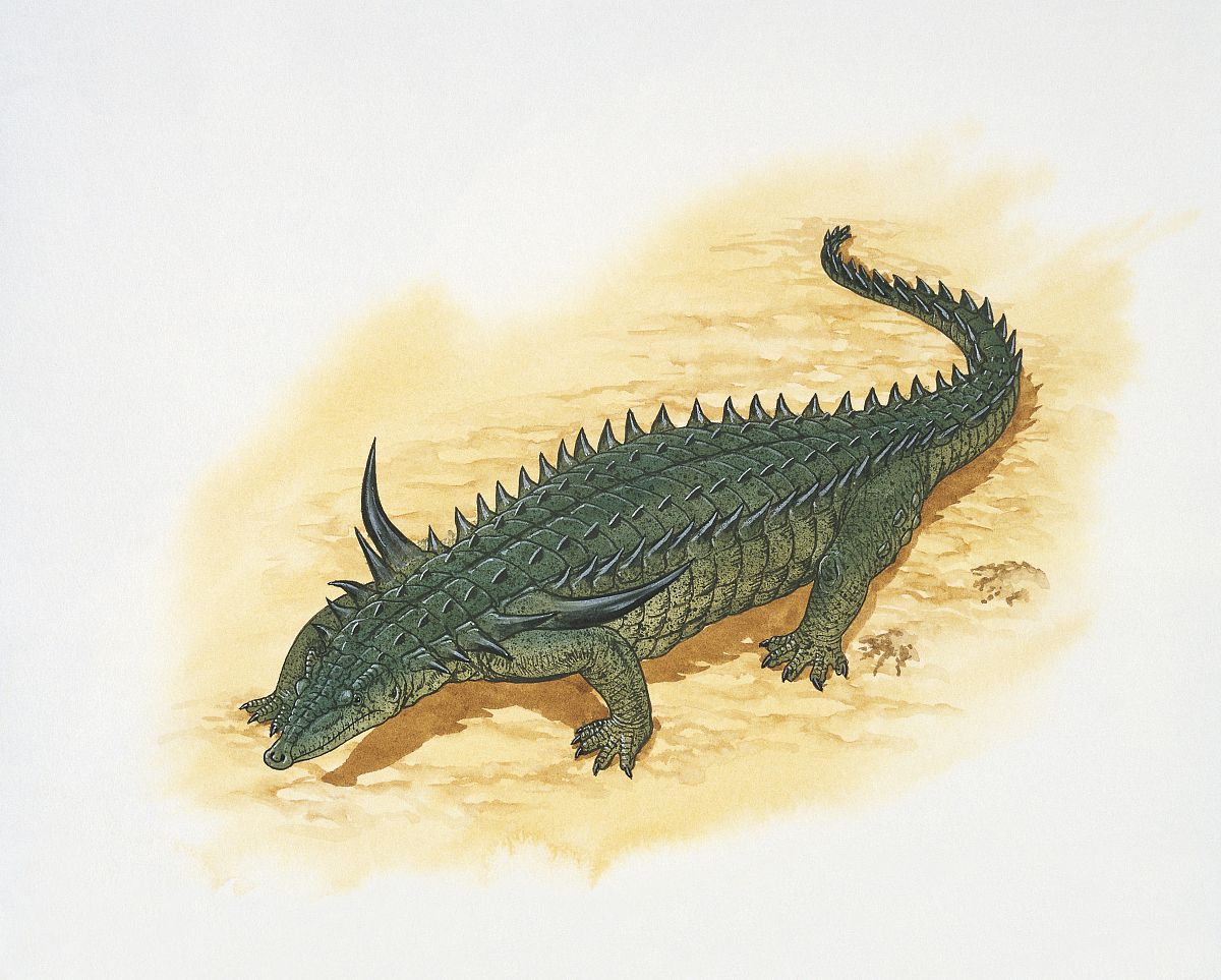  p>链鳄属(属名:desmatosuchus)又名有角鳄,是种已灭绝 a target="