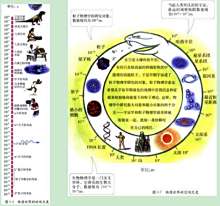 物理学研究的空间尺度范围与时间尺度范围