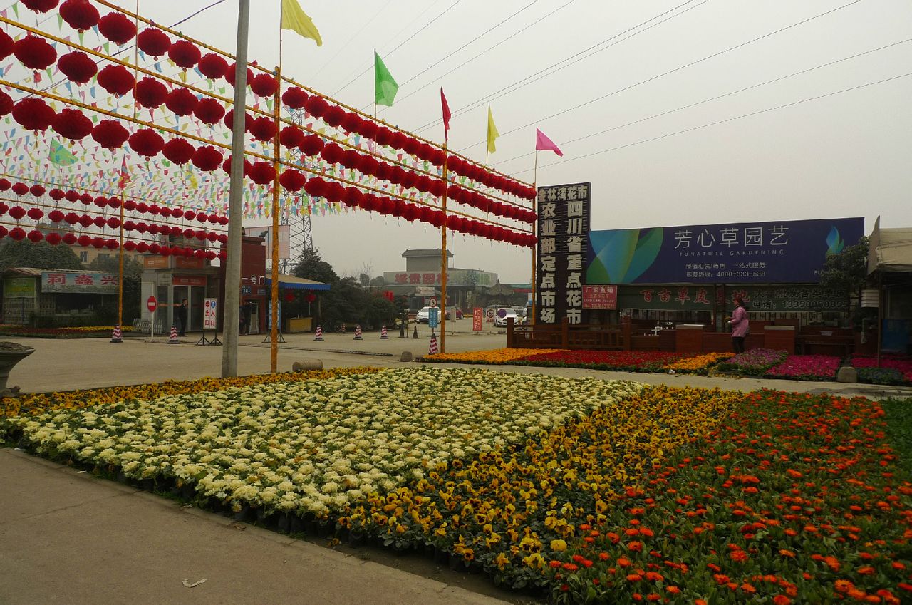成都市金林湾花木交易市场
