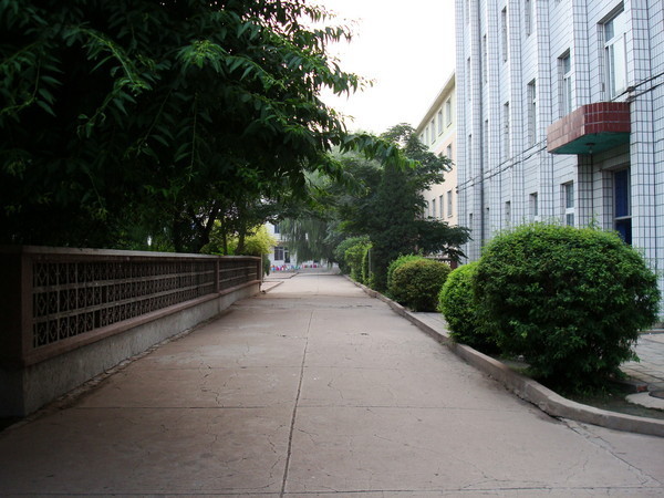 阜蒙县高级中学