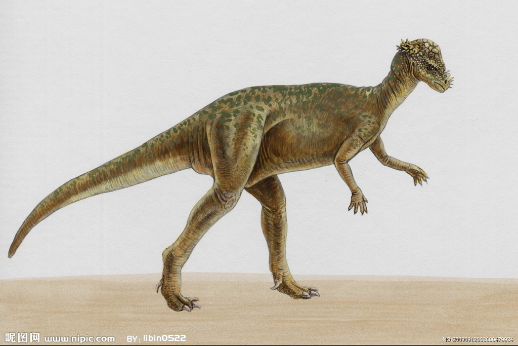  p>东方恐头龙(dinocephalosaurus orientalis )是