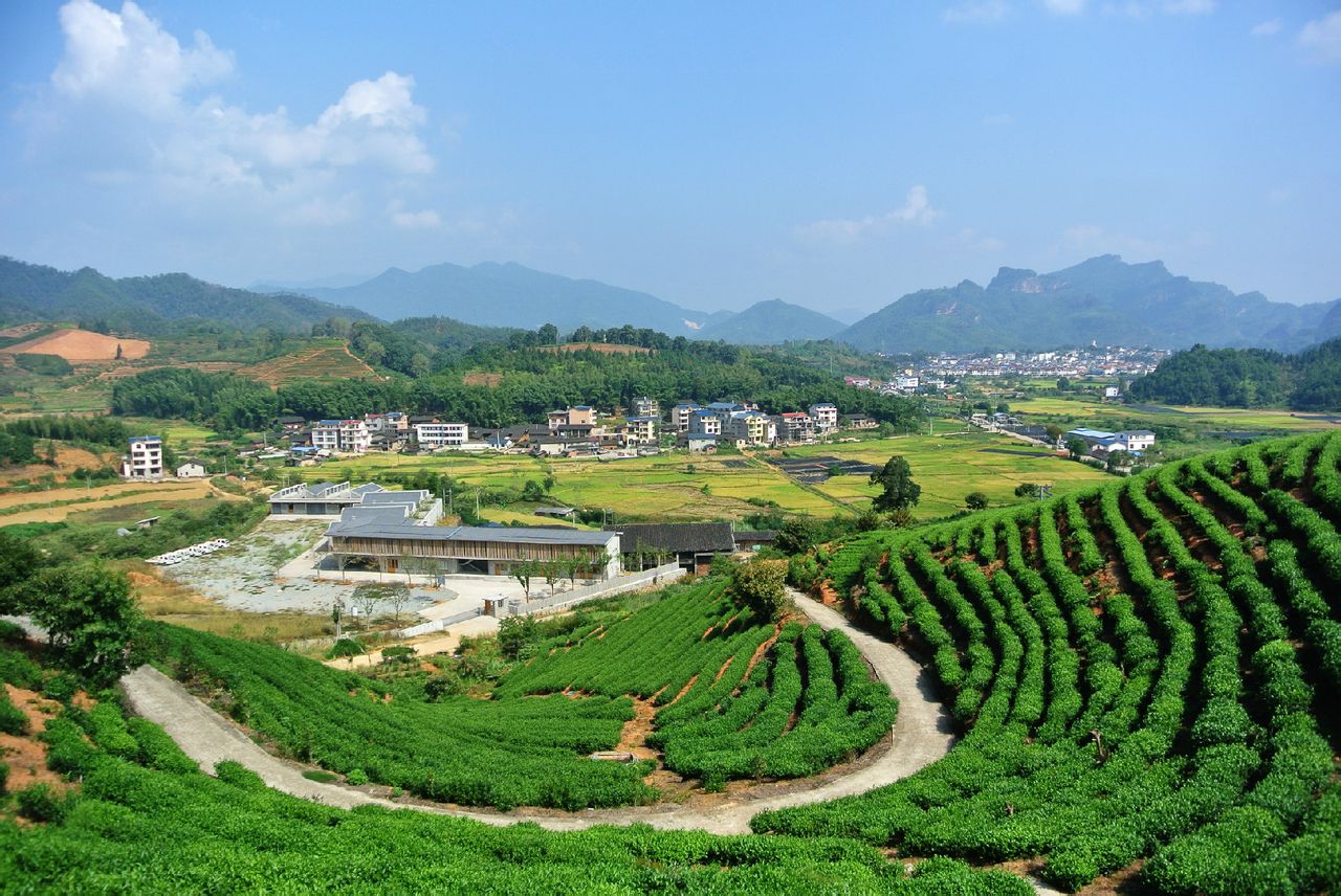  p>《井水生态茶村》位于福建省武夷山市星村镇以南2千米,205省道168