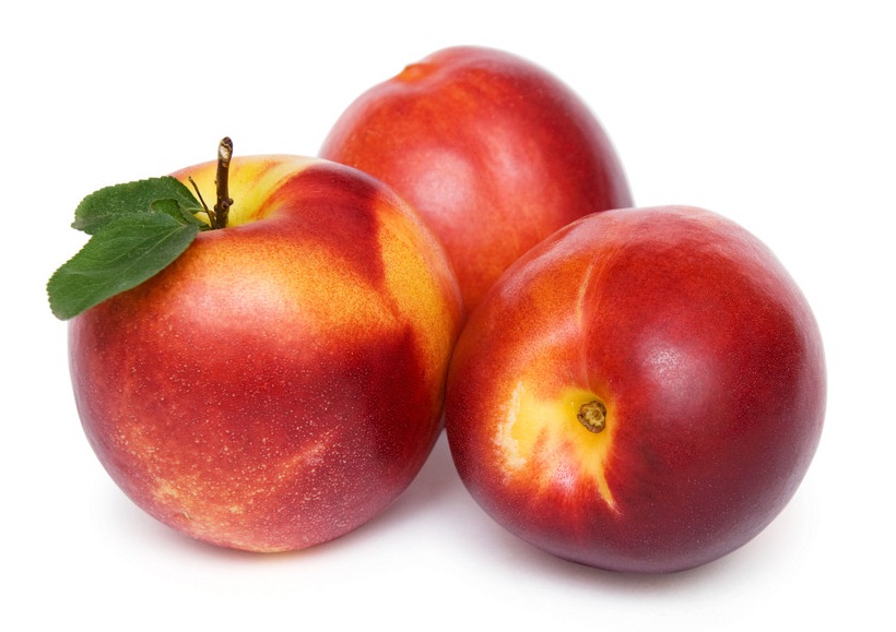 data-lemmaid="2466575">油桃 /a>(拉丁学名: i>prunus persica var