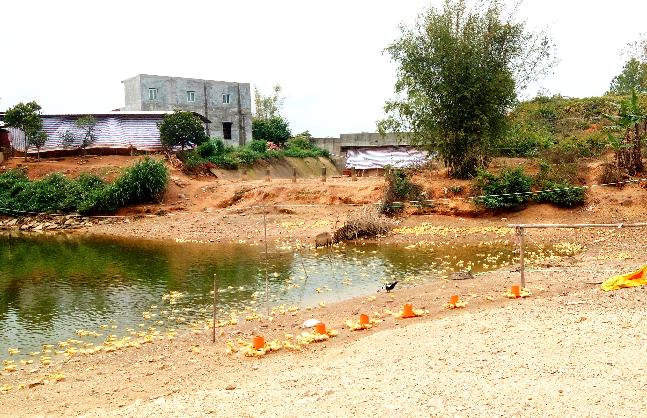 广西博白县龙潭镇