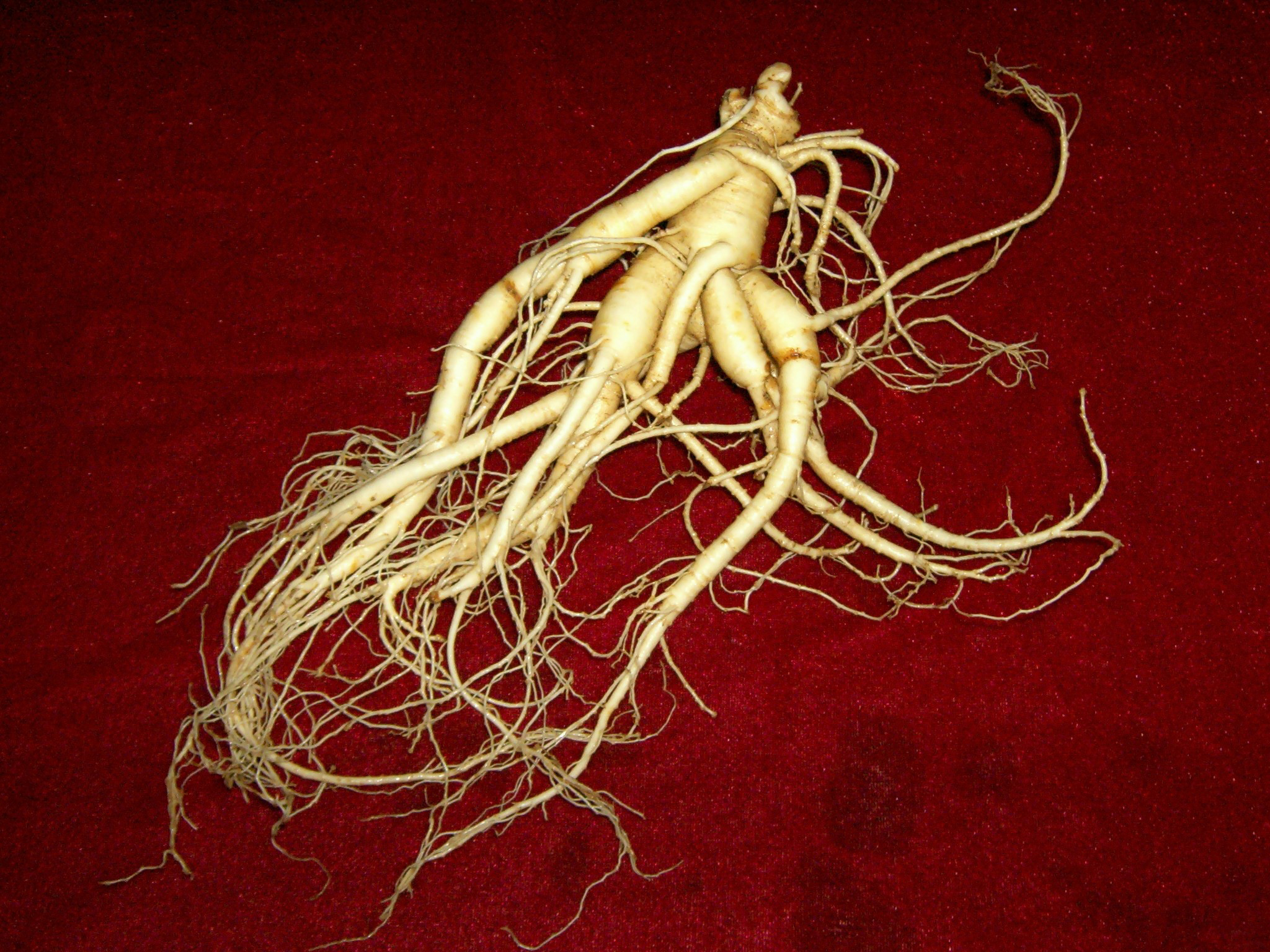 chinese traditonal drug