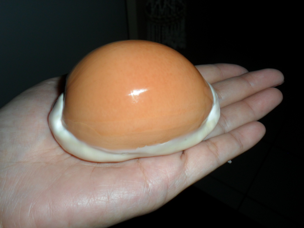  p>黄金宝螺(学名:lyncina aurantium aurantium)是