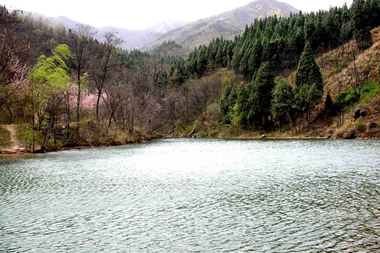 灵泉山森林公园