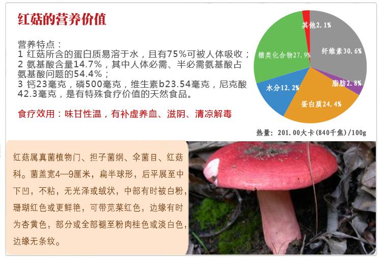 世家红菇