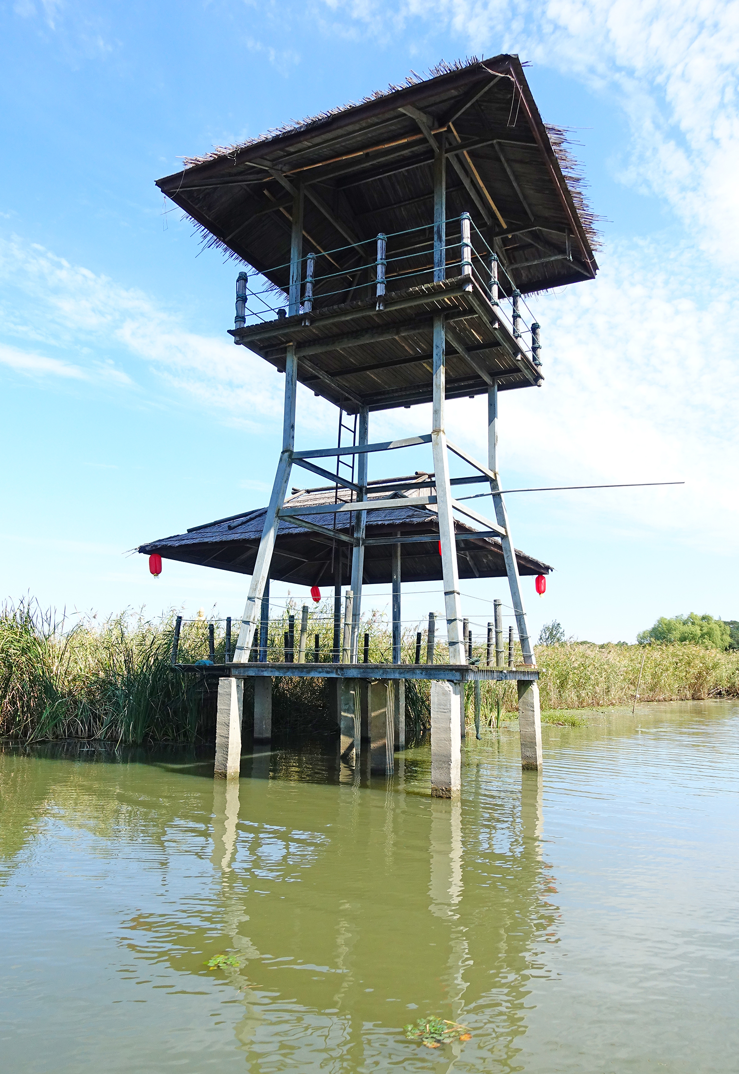  p data-id="gnyxk0rdy6">大纵湖芦荡迷宫位于该湖西北部,芦苇迷宫一