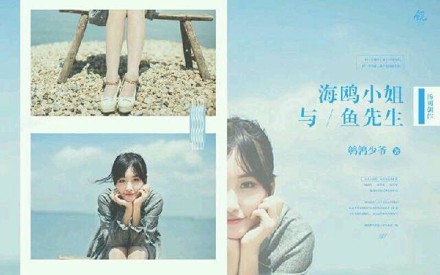 海鸥小姐与鱼先生
