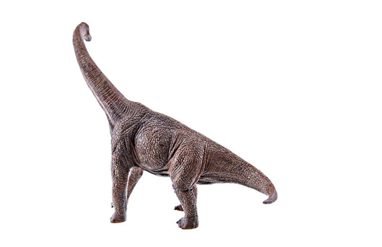  p>腕龙科(brachiosauridae)是 a href="#" data-lemmaid="12615373">