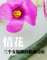 情花——三个女编剧的情感经历