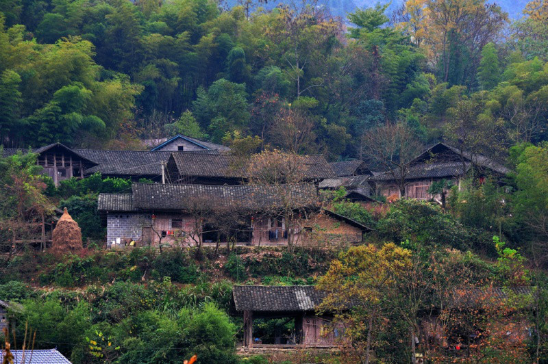  p>山西忻州市定襄县蒋村乡砂村位于县城东10公里外的圣阜山脚下,2005