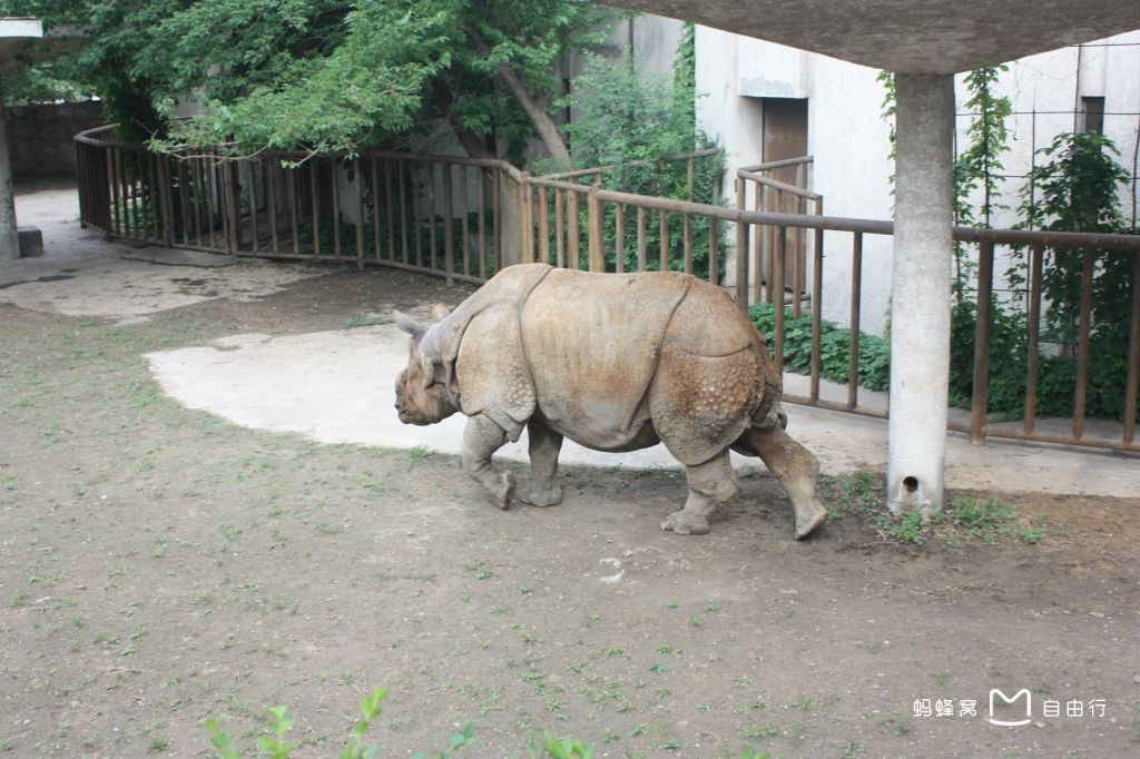北京动物园
