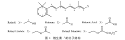 图1　维生素A的分子结构