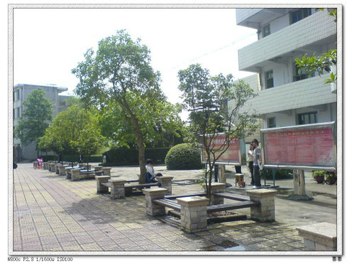 重庆市荣昌仁义中学