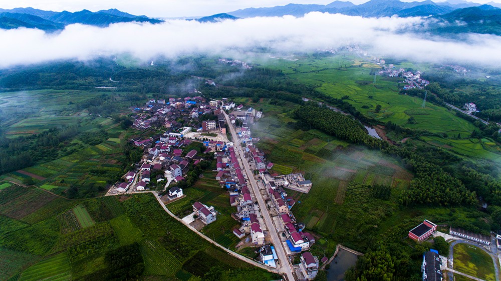  p>花园乡,隶属于安徽省池州市东至县,地处 a target="_blank" href="