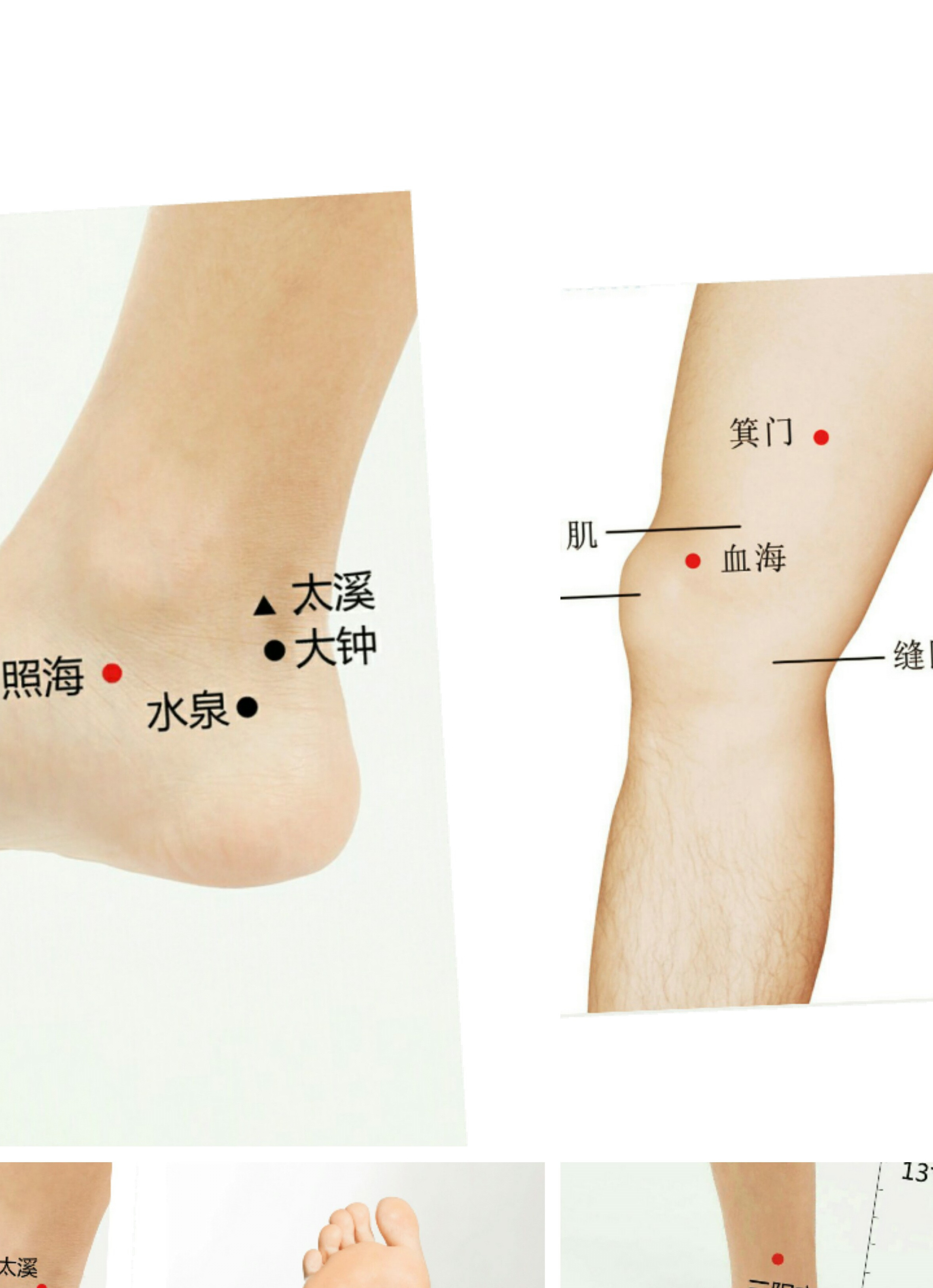 位于人体的大腿内侧,当 a target="_blank" href="/item/血海穴
