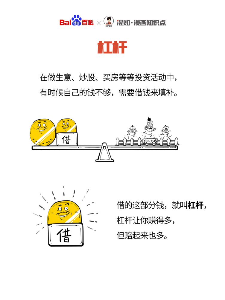 杠杆（经济学名词）_百度百科