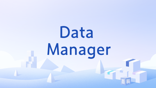 Data Manager_百度百科