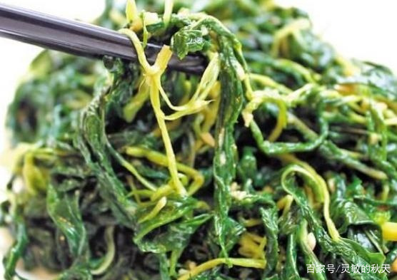 今年贵的蔬菜：麻叶，他表示夏天的潮汕_百科TA说