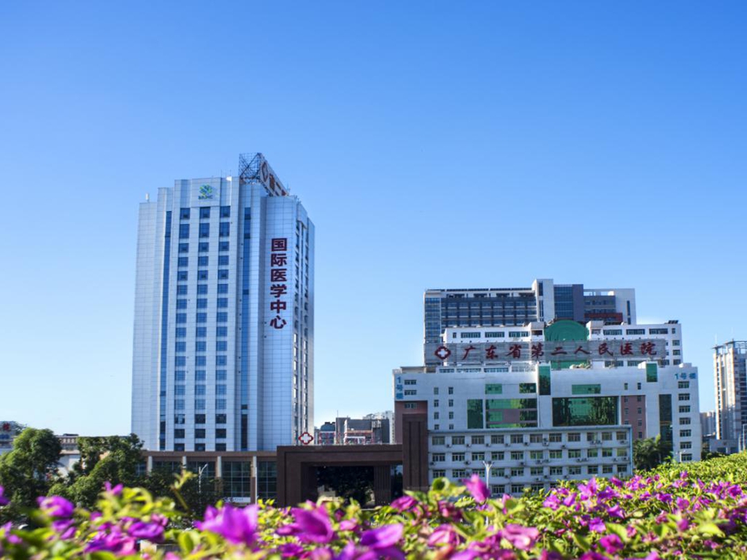 包含北京大學人民醫院代掛專家號，想您所想，解您所急的詞條