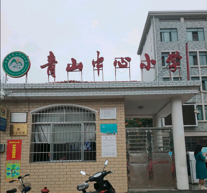 长沙市岳麓区青山中心小学