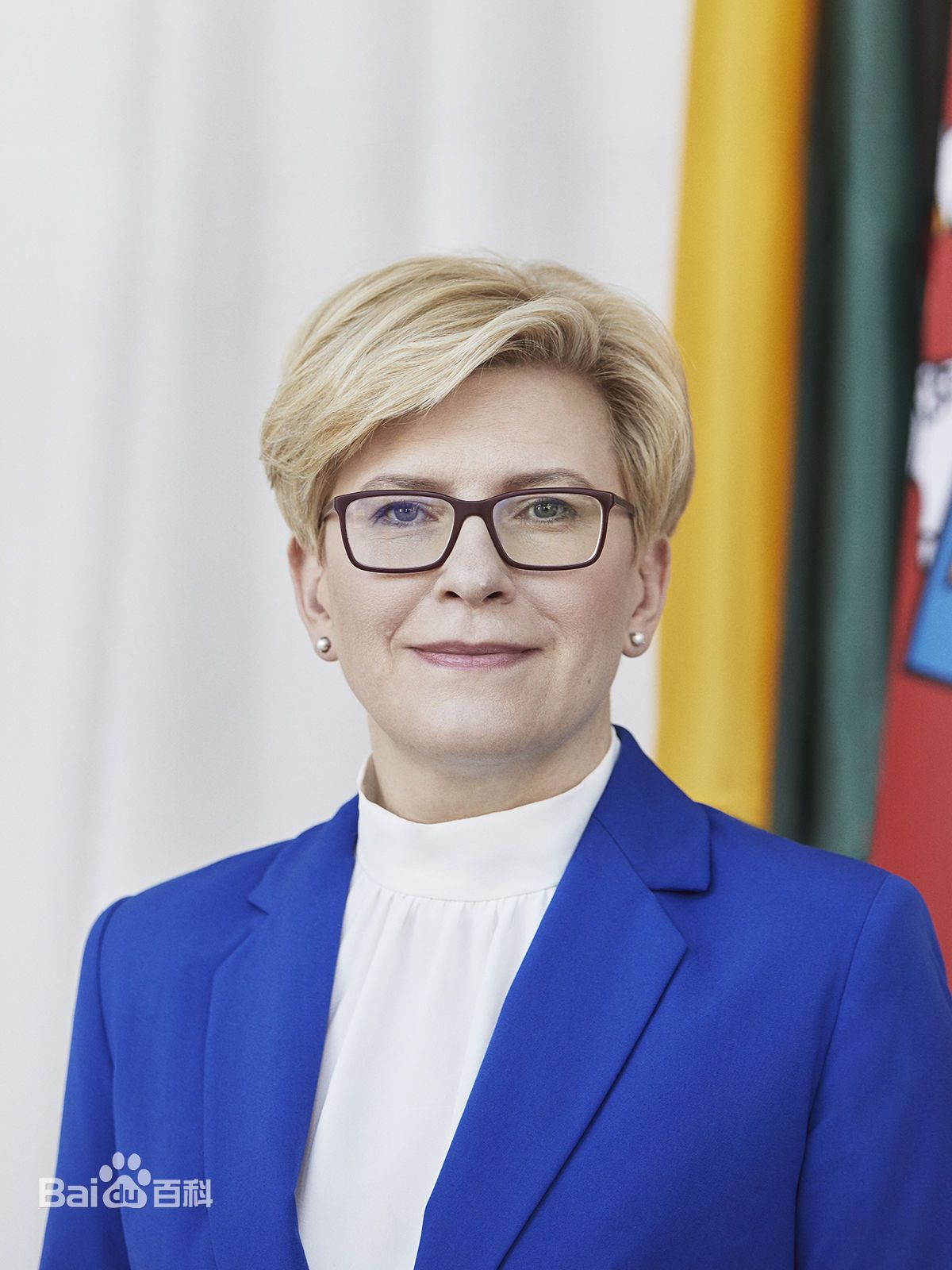 the republic of lithuania