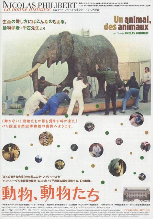 动物，动物们_百度百科