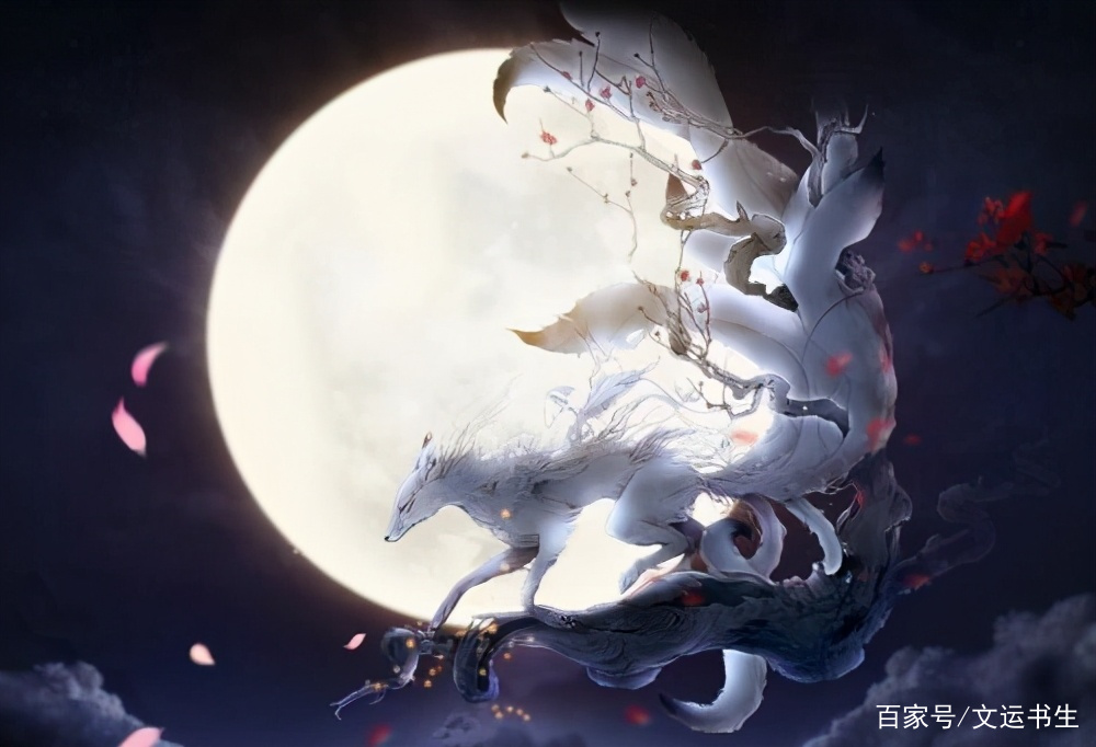 聊斋中，狐狸精为什么偏爱书生，是否另有玄机_百科TA说
