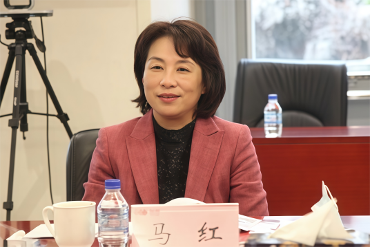 马红（国银金融租赁股份有限公司董事长、执行董事）_百度百科