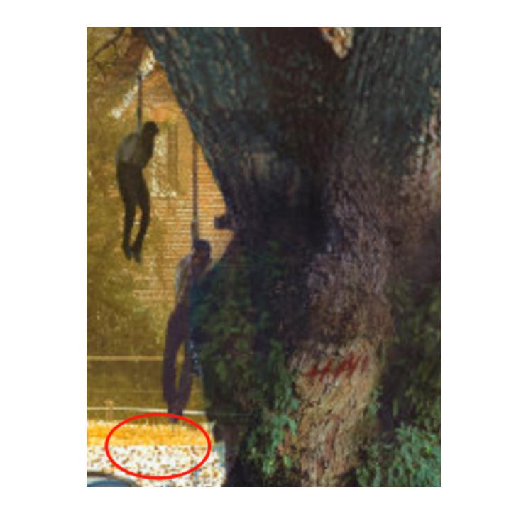  p>《blood cotton initiative》(血棉行动,暂译),由漫画家 a target=