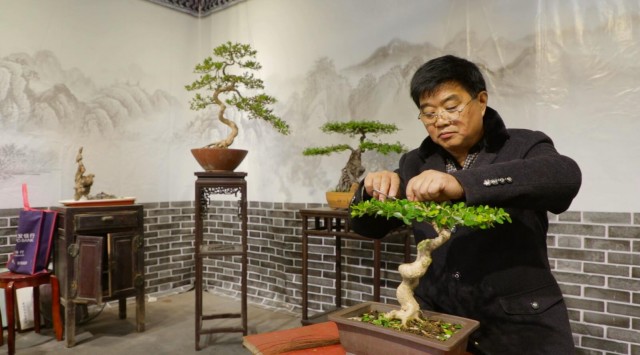 盆景技艺(扬派盆景技艺)