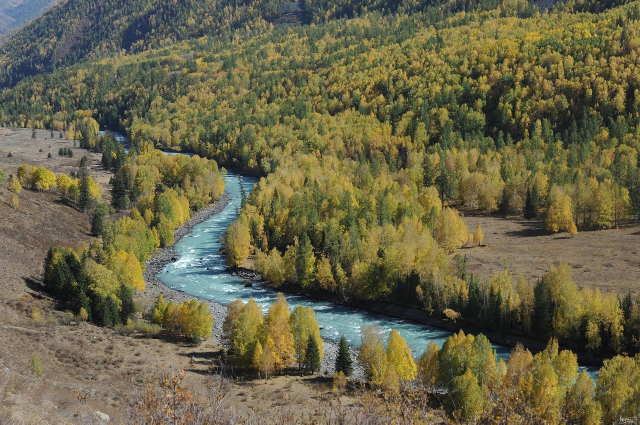 新疆维吾尔自治区