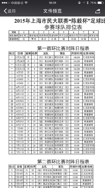 2015年中国足球协会业余联赛