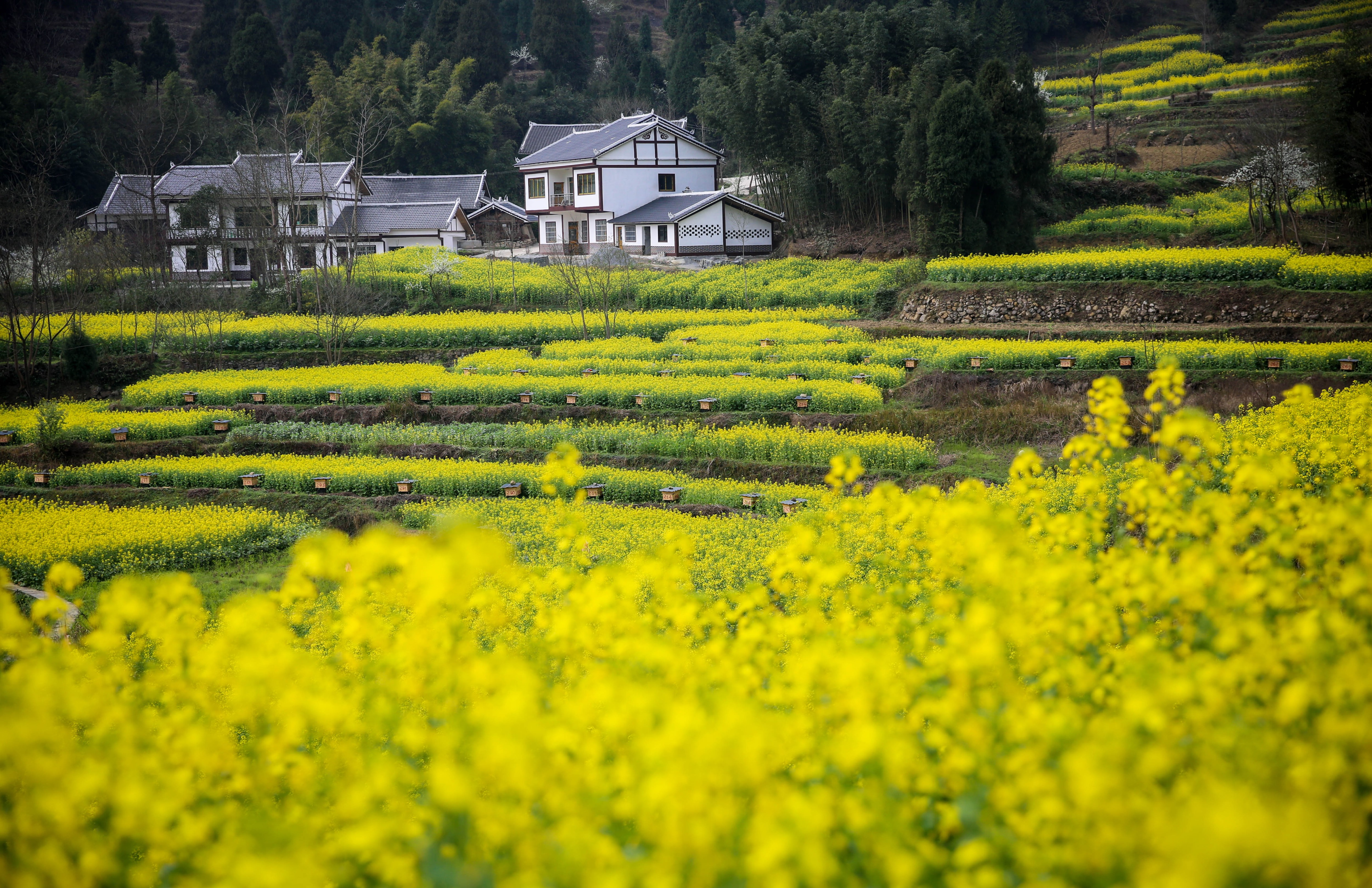  p data-id="gnvixap42p">大发天渠旅游景区位于贵州省遵义市 a