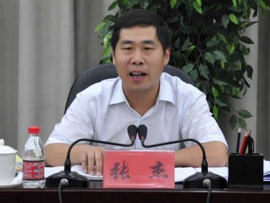 张杰（安徽省政协常委、港澳台侨和外事委员会主任，省环保联合会新一届理事会主席）_百度百科