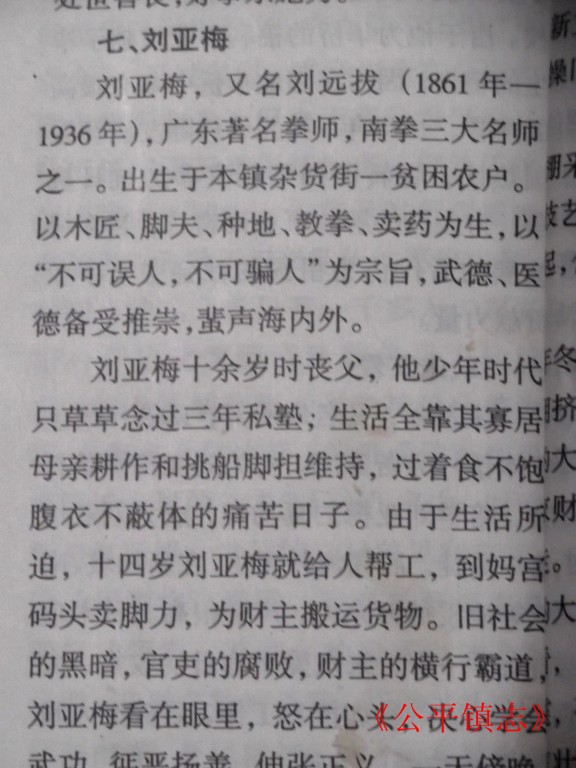  p>刘亚梅,原名为刘远跋,生于清咸丰年间,卒于抗日战争前夕.