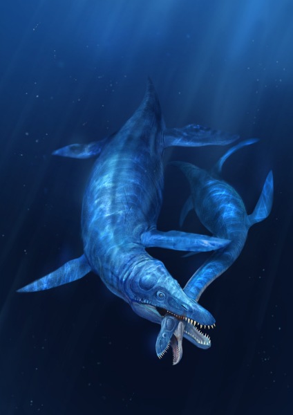  p>克柔龙(属名:kronosaurus)又名克诺龙, a href="#" data-lemmaid="