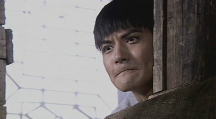 执导, a href="#" data-lemmaid="9794812">严屹宽 /a>主演的电视剧