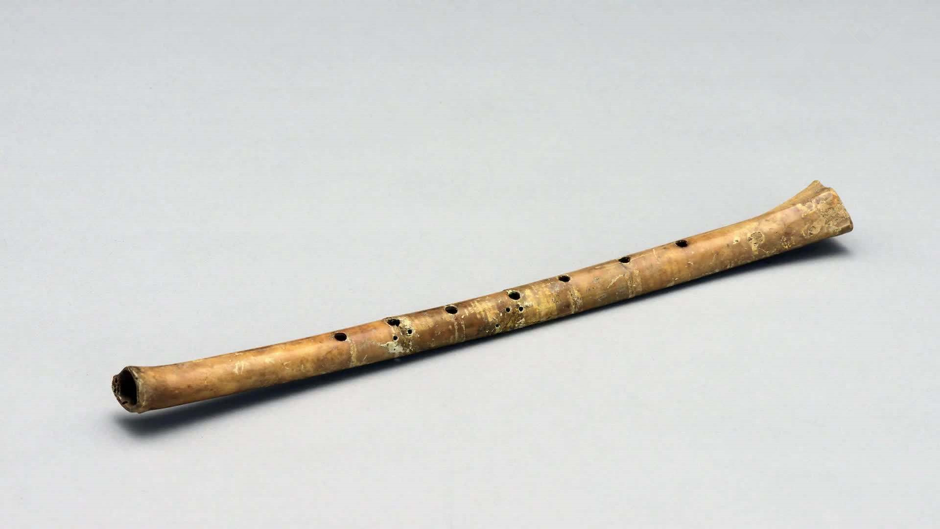 河南一支骨笛的出土何以能震惊考古界？它将华夏文明史前推4000年_百科TA说