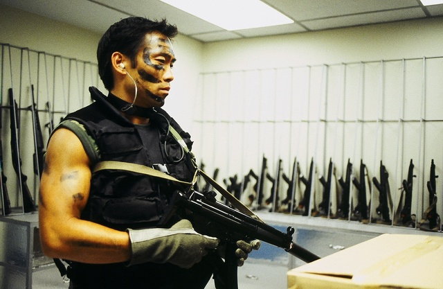  p>《飞虎雄风》是一部香港tvb电视台制作的电视电影.