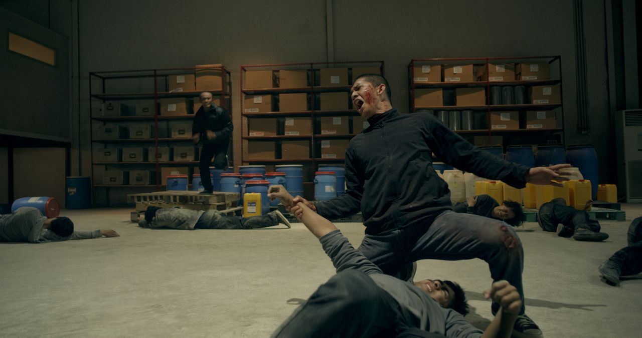  p>《突袭2:暴徒》是由 a href="#" data-lemmaid="18025488">加雷斯