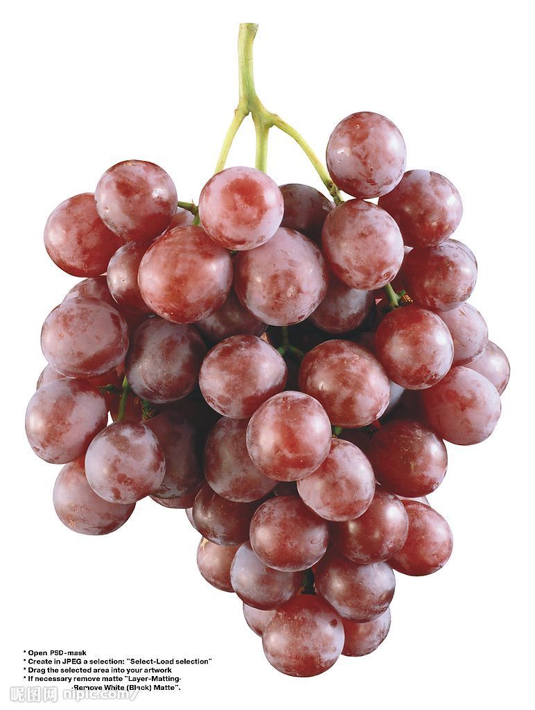  p>红香蜜葡萄是日本最新培育的欧美杂交 a target="_blank" href="