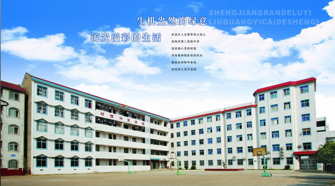 安陆市高中