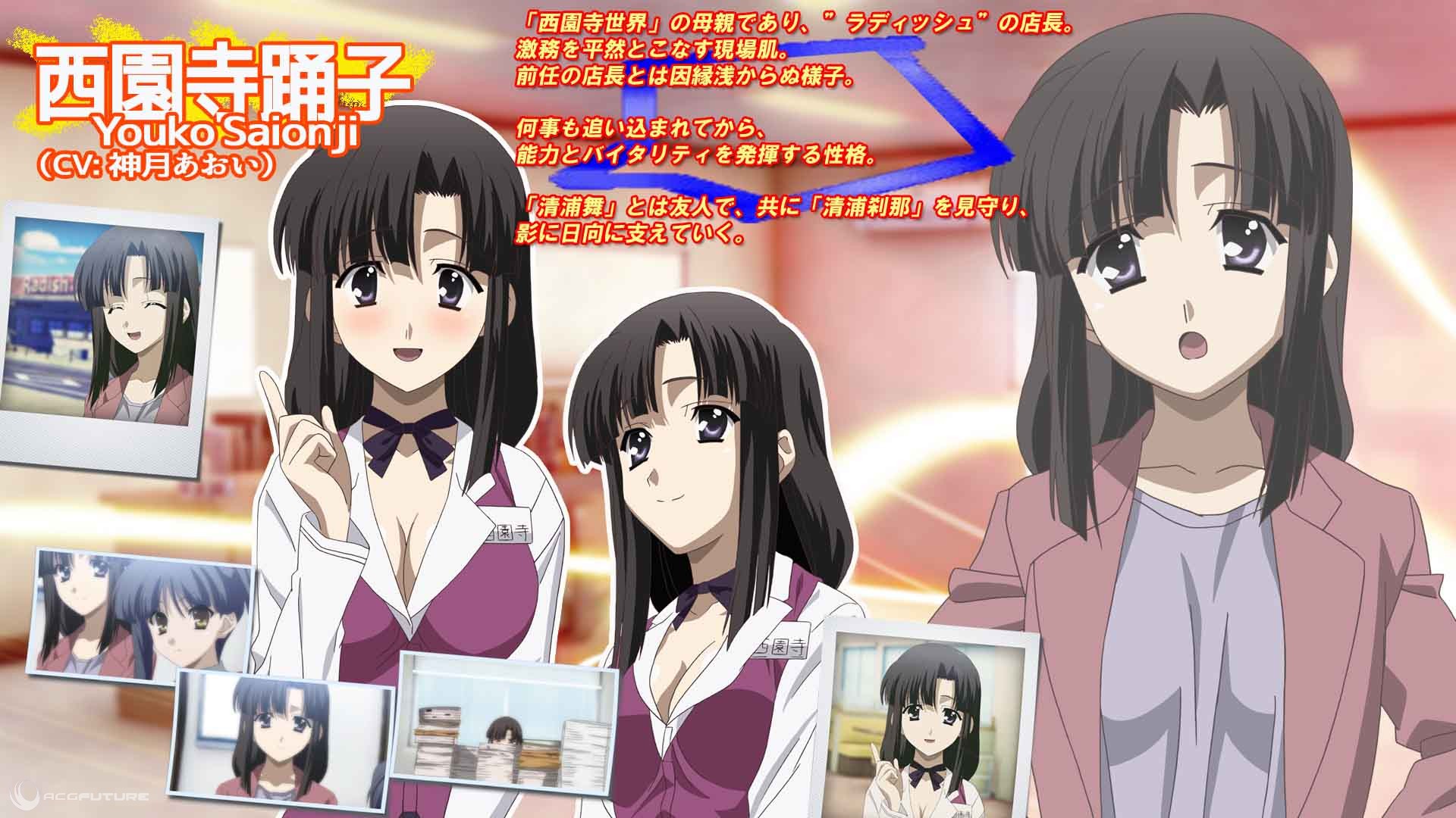 ズ》),是日本overflow公司于2012年4月27日推出的其系列作中《summer