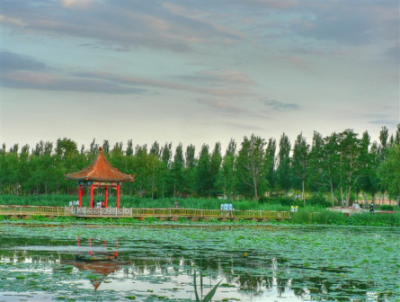 南湖公园·湖中庭