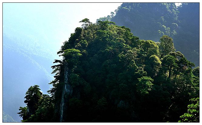 target="_blank" href="/item/井冈山/28334" data-lemmaid="28334">